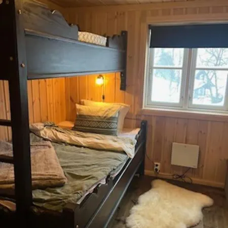 Hytte Gaustablikk Holiday home *