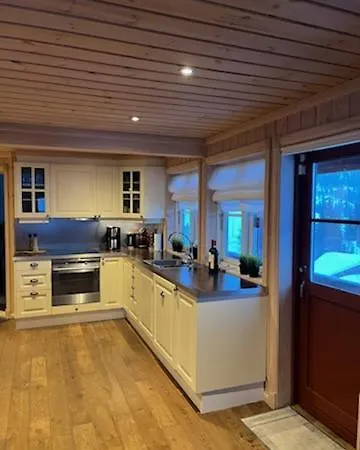 Hytte Gaustablikk * Gaustablikk